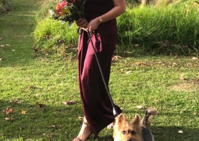 Dog walking bridesmaid down the aisle