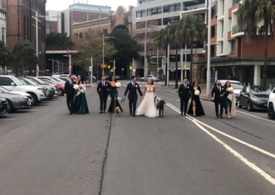 Bridal party and the pups